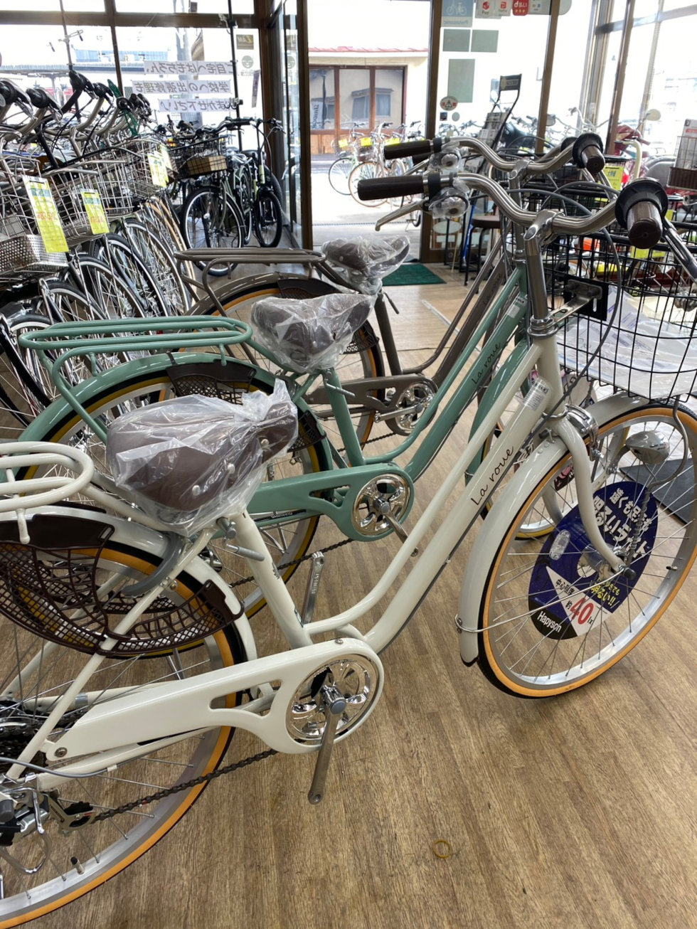 サカモトテクノ 「ラルー」